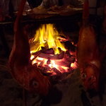 浜寮 - きんき（１人１匹！）