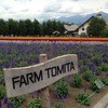 ファーム富田