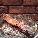 だんぼ - イカワタ干し