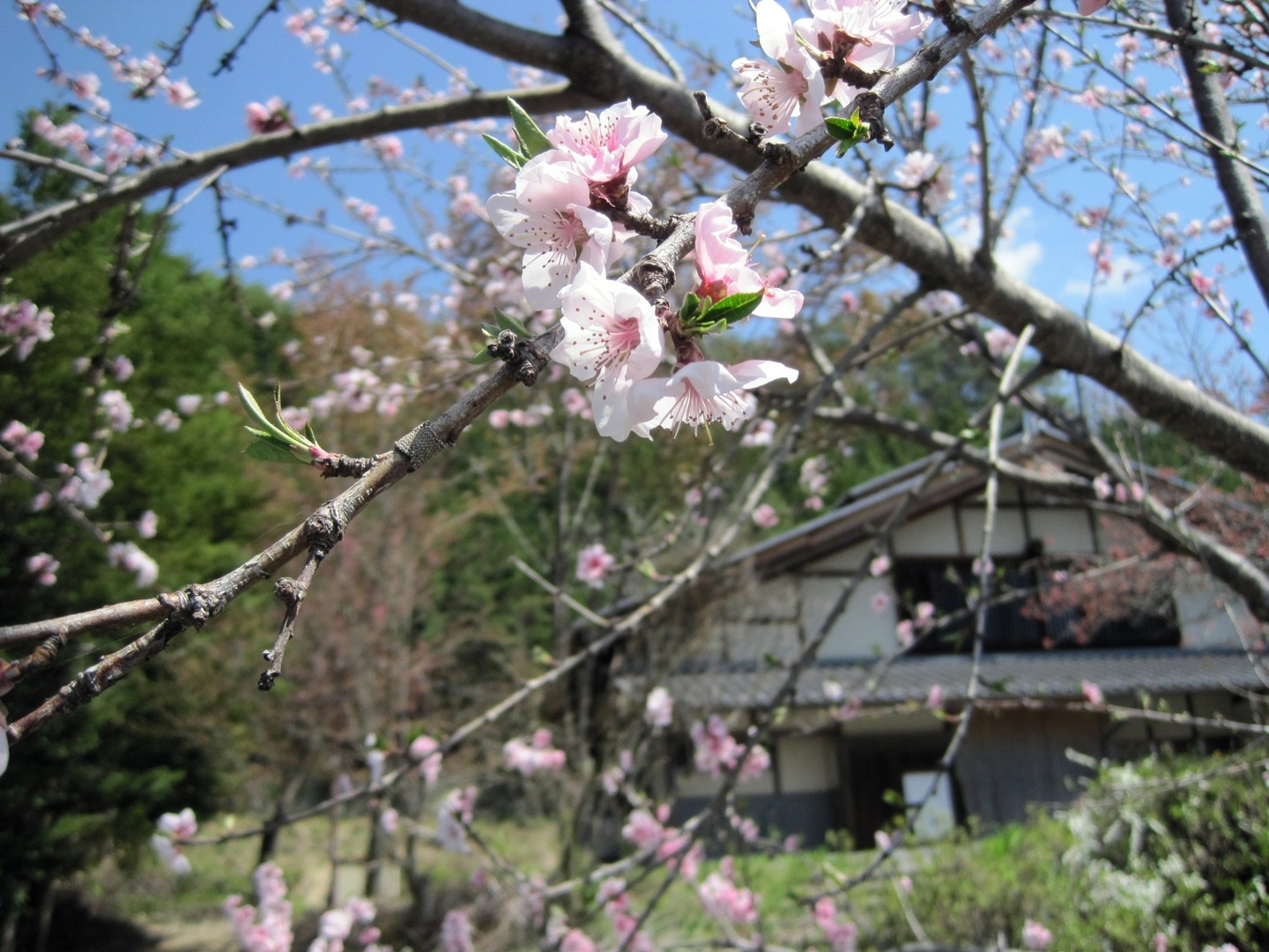 するぎ農園 name=