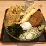 名代 箱根そば - 料理写真:箱根そばスペシャル・冷たい蕎麦で