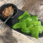 炭火やきとり とさか - 