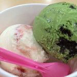 Thirty-One Ice Cream Ion Iwa Mizawa Ten