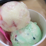 Thirty-One Ice Cream Ion Iwa Mizawa Ten