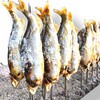 森田城やな カンセキスタジアムとちぎ店
