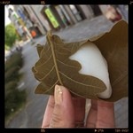 和菓子処ふじや