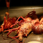 シャカ - 伊勢海老