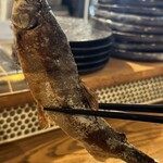 酒場 Cesta - 