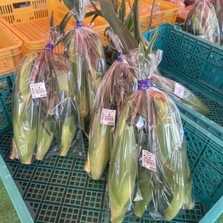 妙高山麓直売センター とまと _1