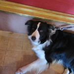 Mar - お手手どうしたの？？