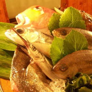 店主亲自精选的时令鲜鱼和新鲜蔬菜每天一换