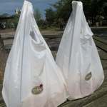 重みでつぶれないように、４枚づつ分けて入れてくれた♪