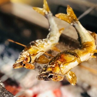 和食 ふじ波_0
