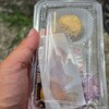 石井菓子店