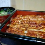 Unagi Musashino - 新仔鰻重