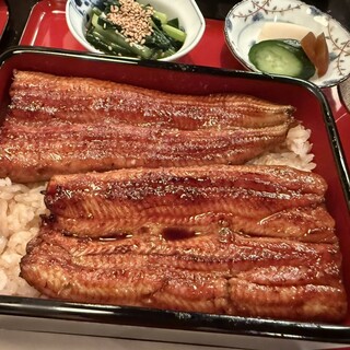 はま吉_0