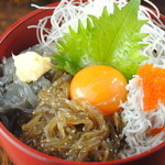 湘南しらすの小田原三色丼