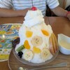 ココス - しろくま
