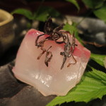 大どころ - 石鯛塩昆布添えアップ