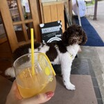 山の上レモネード - 