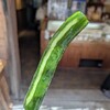 傳兵衛 - 