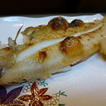 辻政 - 大き目　身がふっくらとした笹カレイ