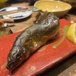 海鮮居酒屋 産直市場 ろばた - 
