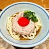 さぬきうどん 酒亭 こんこんとん