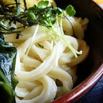 田舎打ち 麺蔵 - 【1日だけ武蔵野麺通団】2010年4月　ぶっかけうどん　アップ