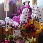 割烹　伊勢　すえよし - お花がたくさん！服部幸應氏や漫画家の植田まさし氏からのお花も。
