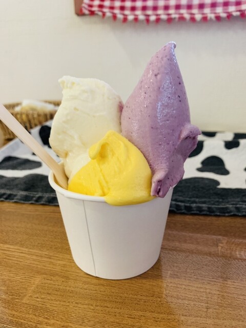 ノルディックファーム 遠軽本店 - 生田原/ジェラート・アイスクリーム