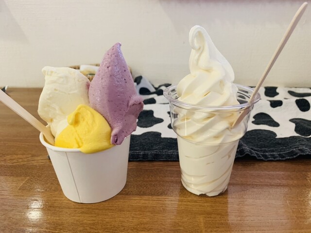 ノルディックファーム 遠軽本店 - 生田原/ジェラート・アイスクリーム
