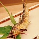 割烹 白鷹 - 塩焼きにちょうど良いサイズです。もちろん、頭から齧ります