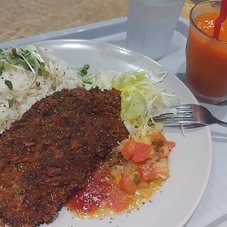 ロハスカフェARIAKE_0