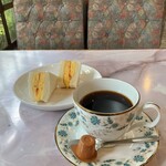 サンスター - 
