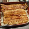 川蝉