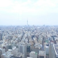 広東料理 センス - 