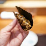 瞬 - 
