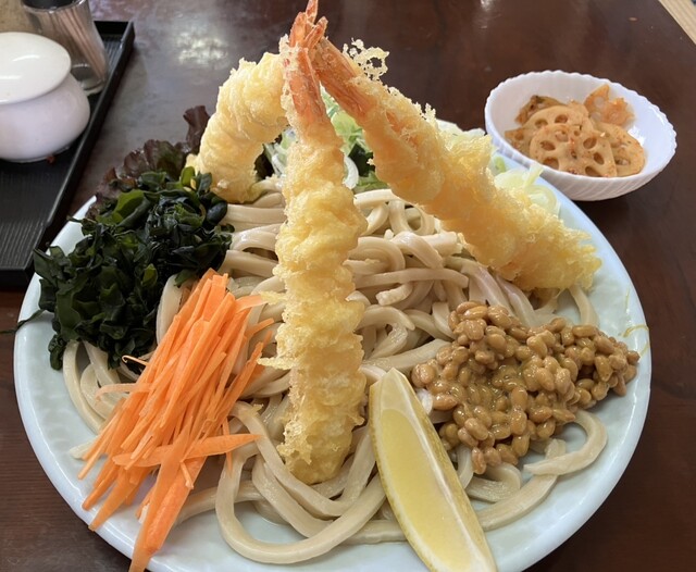 Fujiya - Mt Fuji/Udon (Wheat noodles) | Tabelog