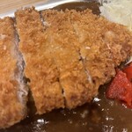 伊万里の小さなカレー屋さん - カツのアップです。