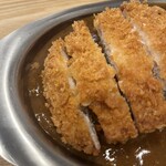 伊万里の小さなカレー屋さん - カツのアップです。