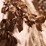 PUBLIC KITCHEN cafe - 