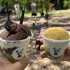 トナリノトナカイ - 