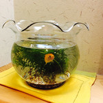 御料理山もと - 廊下に金魚ちゃんも