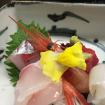 御料理山もと - 刺し身
                                美し~