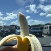 道の駅むつざわ つどいの郷 - 料理写真: