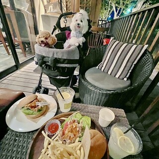 ヴェジタブルカフェ&シーフードバー サイエン_1