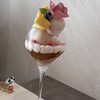 and parfait