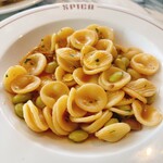 SPICA - 