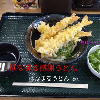 はなまるうどん_0